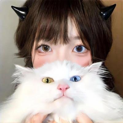 孤国春秋第五季